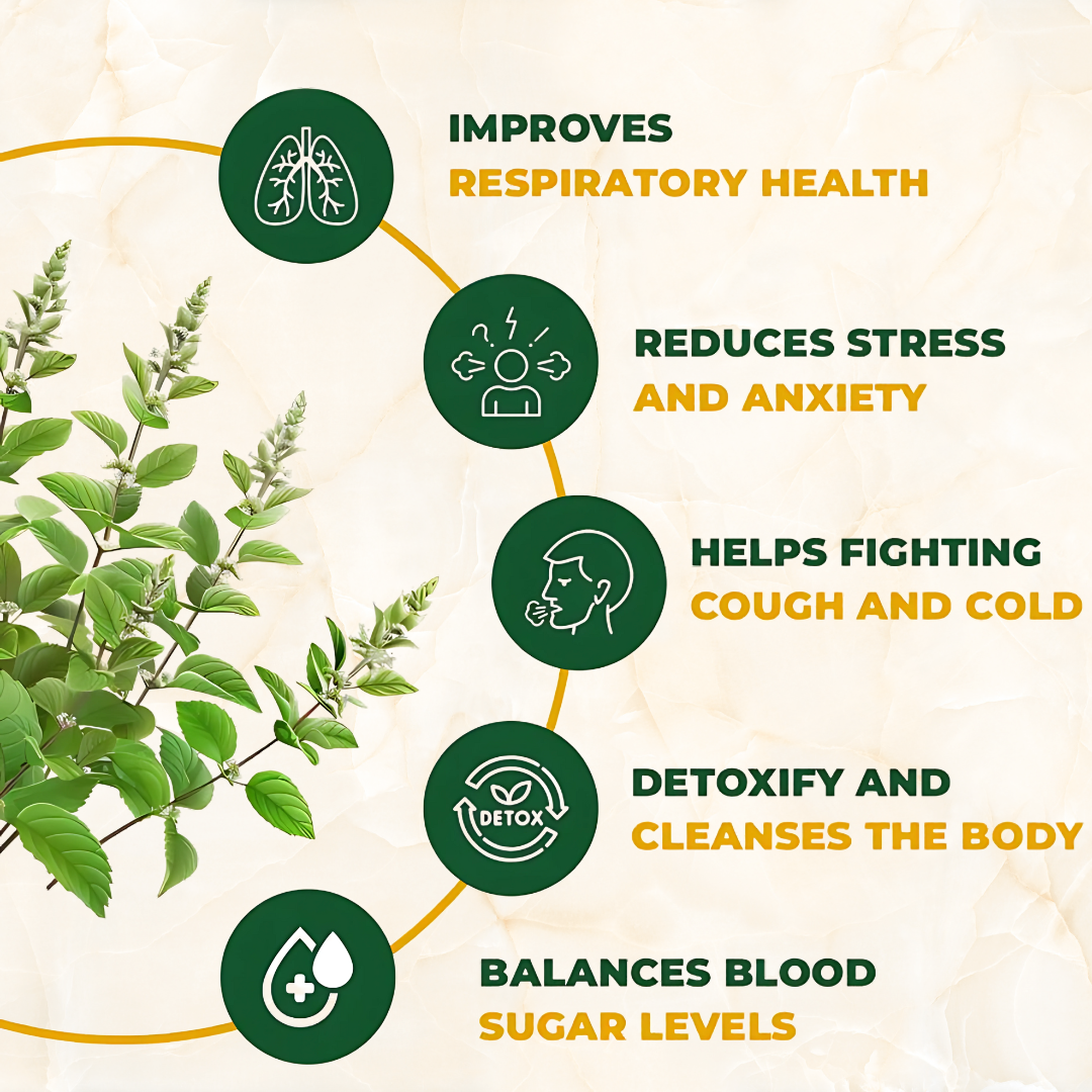 TULSI DROPS SAWASTHYAMRIT - Saumay Veda Trust Transform Thrive