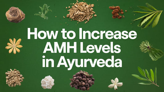 How To Increase AMH Levels In Ayurveda