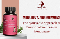 Mind, Body, and Hormones: The Ayurvedic Approach to Emotional Wellness in Menopause