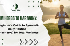 From‍‌‍‍‌‍‌‍‍‌ Herbs to Harmony: A Beginner’s Guide to Ayurvedic Daily Routine (Dinacharya) for Total Wellness