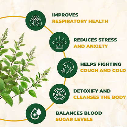 TULSI DROPS SAWASTHYAMRIT - Saumay Veda Trust Transform Thrive 